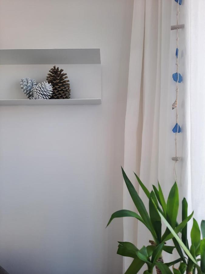 Sitius 5B - New Seaview Apartment With Rooftop Terrace In Historical Centre Sitio Da 纳扎雷 外观 照片