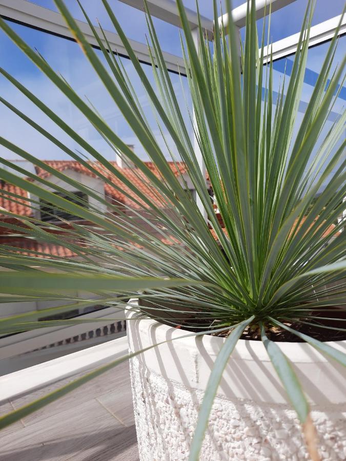 Sitius 5B - New Seaview Apartment With Rooftop Terrace In Historical Centre Sitio Da 纳扎雷 外观 照片